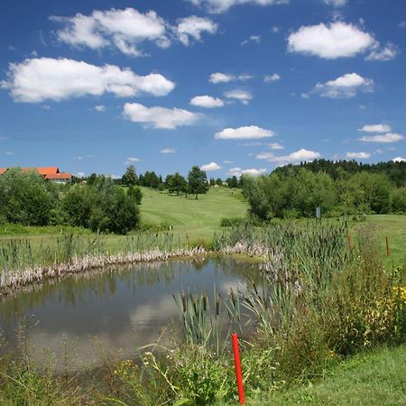 Anetseder Landhotel & Lofts Thyrnau Экстерьер фото