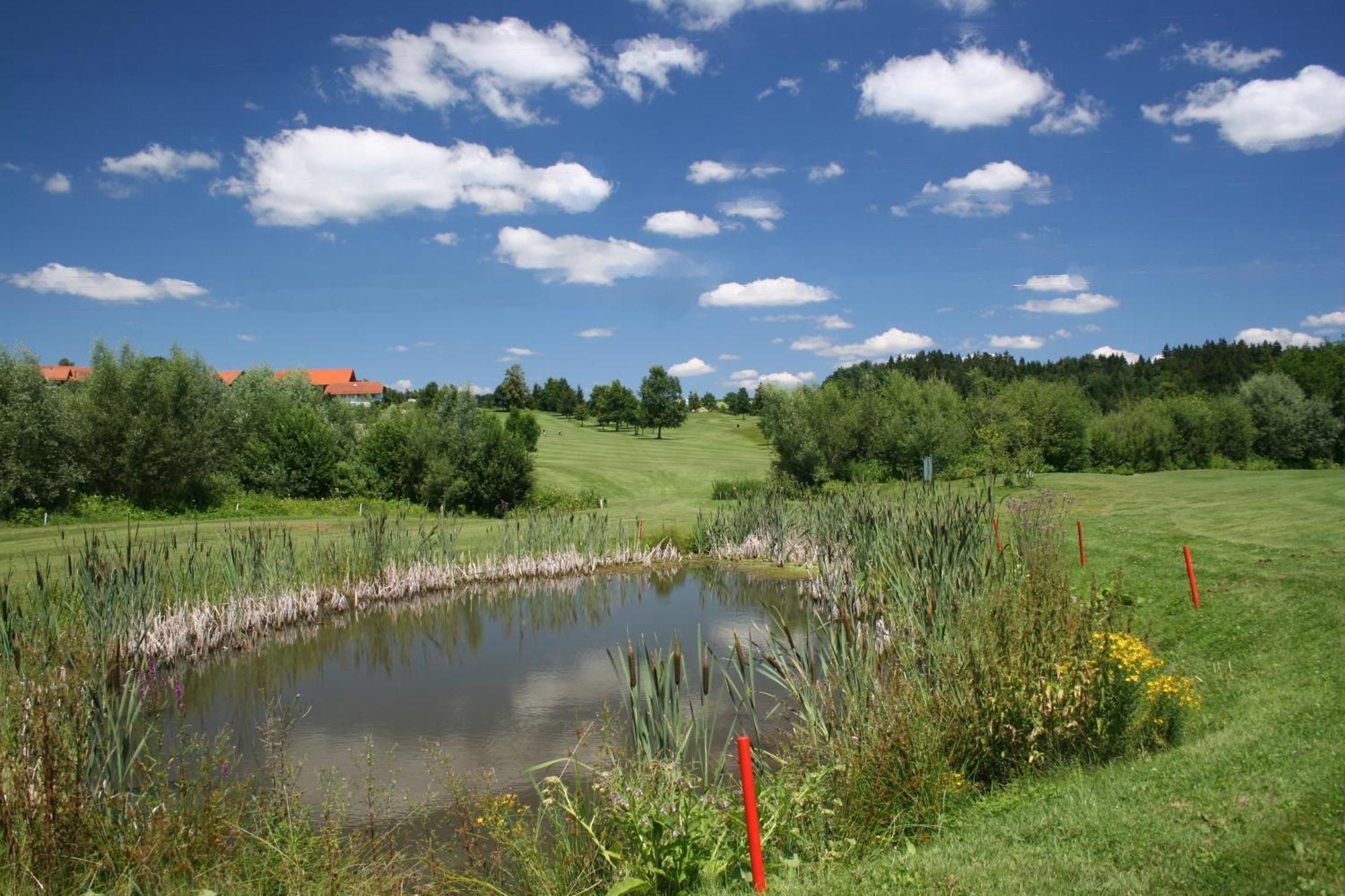 Anetseder Landhotel & Lofts Thyrnau Экстерьер фото